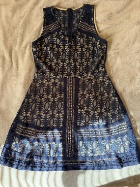 dina be Navy Lace Dress with Nude Underlay